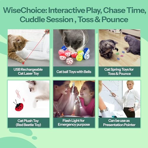 WiseChoice-15-in-1-Cat-Toys-Rechargeable-Dot-Chase-Light-Cat-Spring-Toy-Ball-Toys-with-Bell-and-Plush-Toy-Perfect-for-Solo-or-Interactive-Gifts-for-Cats-Kitten