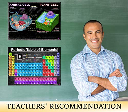 Periodic Table And Cells Science Posters - Laminated 14X19.5 - Educational Charts, Classroom Posters And Decorations, Back To School Supplies, Learning Posters For Biology And Chemistry Classes, Stem And Steam Posters #TOP3