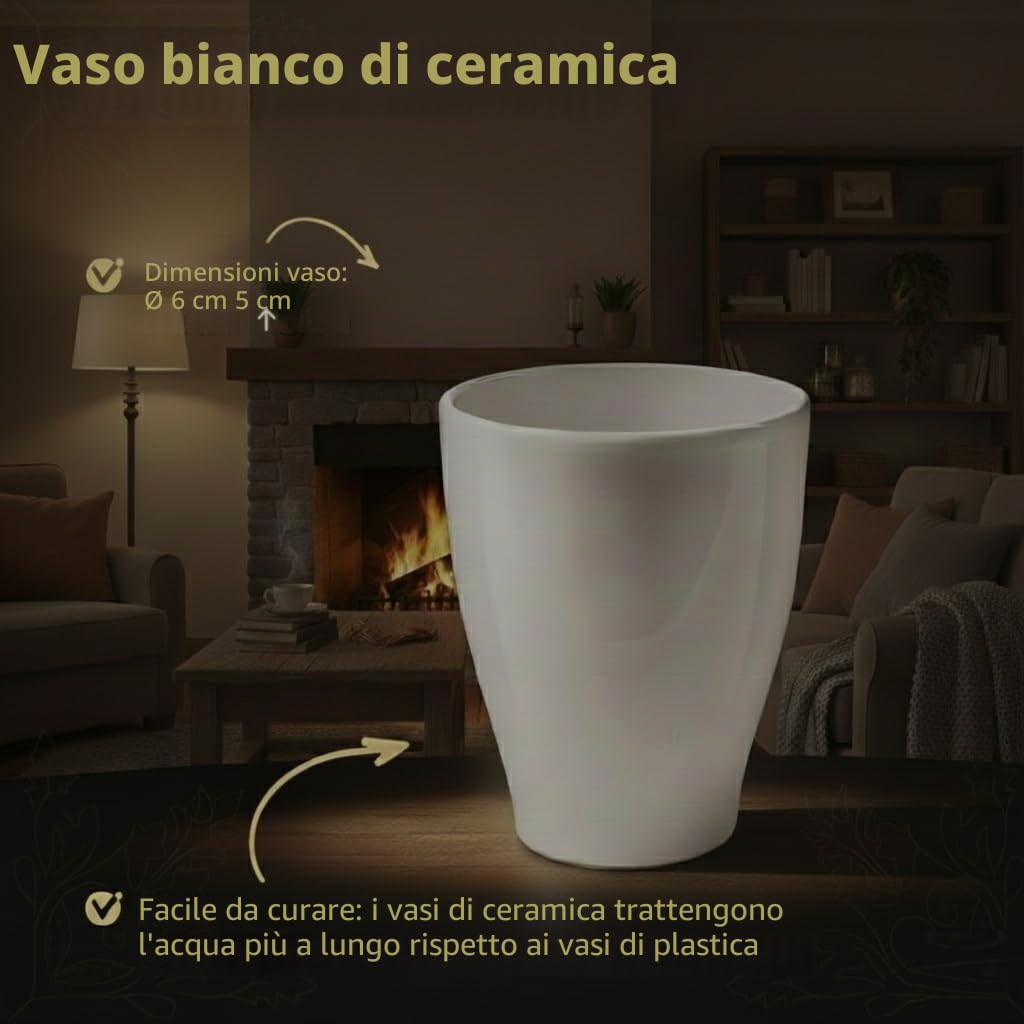 vdvelde․com - Bomboniere 20 mini piante grasse vere in vaso ceramica | Decorazione personalizzata per battesimo, comunione o festa aziendale, 20 piantine Ø 6 cm con cartoncini
