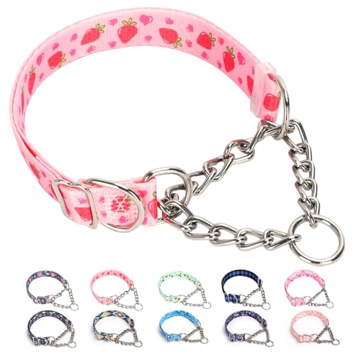 Martingale Dog Collar with Chain