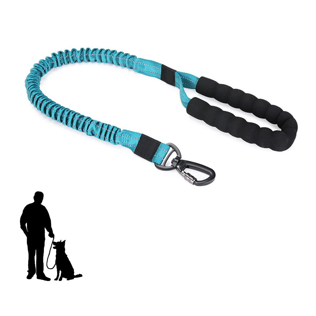 Reflective Dog Leash, Extendable Dog Leash with Comfortable Padded Handle and Swivel Lockable Hook for Dog Training,Walking,Running (Blue)