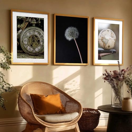 Image of HOTHOUSE Abstract Painting Home Decorative Abstract Wall Art poster With Frame For Living Room Bed Room Hotel Wall Decor Digital Reprint Set of 3 (13X17 inch)