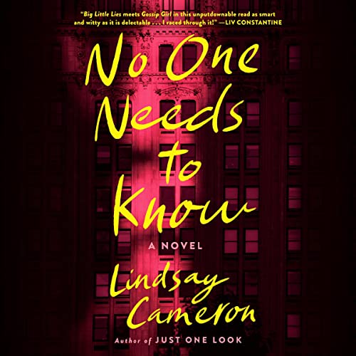 No One Needs to Know: A Novel