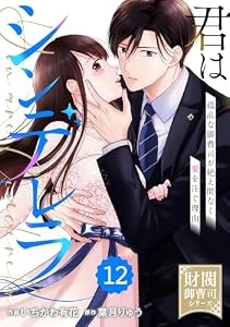 comic Berry’s君はシンデレラ～孤高な御曹司が絶え間なく愛を注ぐ理由～【財閥御曹司シリーズ】12巻 (Berry's COMICS)