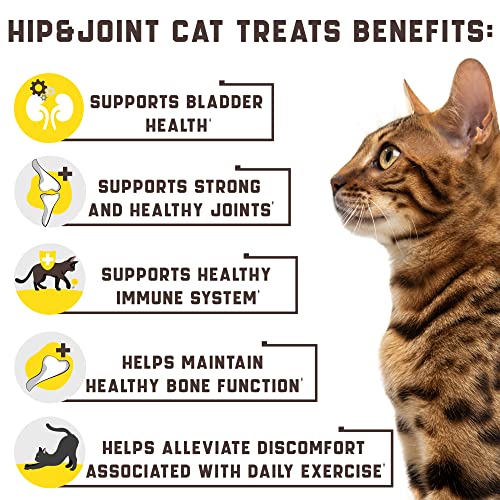 Kinpur Pet Care Natural Glucosamine For Cats - Effective Cat Joint Supplement That Helps Improve Flexibility And Mobility - Hip And Joint Support For Cats - American Quality (135 Chews (Pack Of 1)) #TOP1
