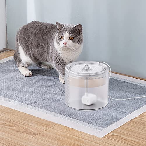 Fuente automática para mascotas con capacidad de 2 litros miniatura 3