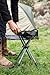 Stansport Apex Fold-Up Stool (G-140), Multicolored