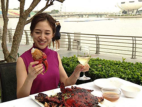 シンガポールで世界の文化を楽しむ！のサムネイル