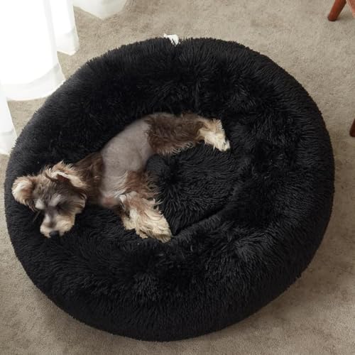 Image of ZEXSAZONE Summer Small Cat Bed Doughnut Shape for Kittens & Small Dogs | Soft Plush Washable Puppy Bed | Raised Sides for Head & Neck Support | Reversible 2-in-1 Pet Cushion (S Black)