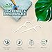 Clean Idea EcoFlossers 300ct, Eco Friendly Flossers for Adults & Kids, Everyday Dental Floss Picks, Easy on Gums Floss Picks for Teeth, Tooth Flossers