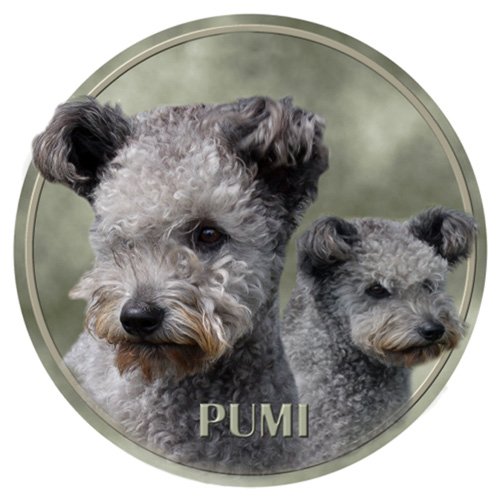 LUKKA PUMI Adesivo 15 cm