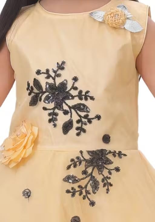 Image of Elegant Petal Flair Embroidered Party Frock for Girls