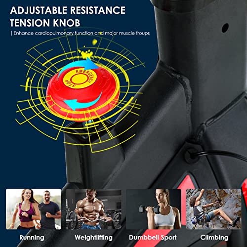 Heimtrainer Fahrrad, bis 150kg Gewicht, 10kg Schwungrad, mit Pulsmesser, LCD Display, Ipad Halter, Sitz & Stufenloser… – Bild 3