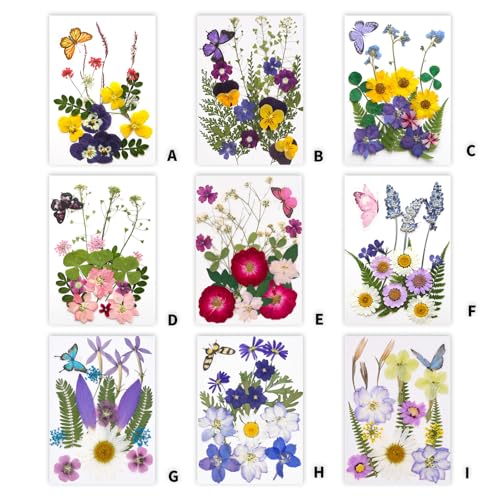 Flores secas prensadas para resina y manualidades miniatura 3