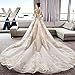 Vestido de novia Champagne Manga Larga Cola Larga Corte Estilo sueño Vestido...