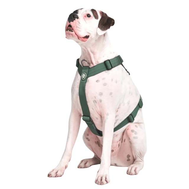 Spark Paws Arnés grande sin tirones para perro, diseño halter con clip frontal