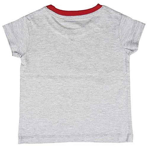 Cerdá Camiseta de Manga Corta Modelo Camiseta Corta Single Jersey Minnie Marca