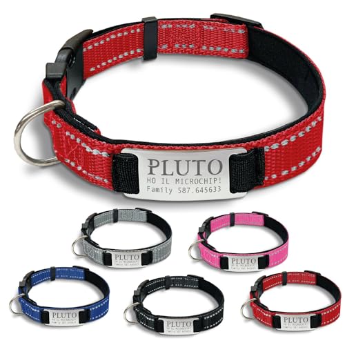 Gruppo Veneziano - collare cane personalizzato - collare cane personalizzabile con targhetta in metallo - linee Catarifrangenti - clip in abs - gancio per guinzaglio