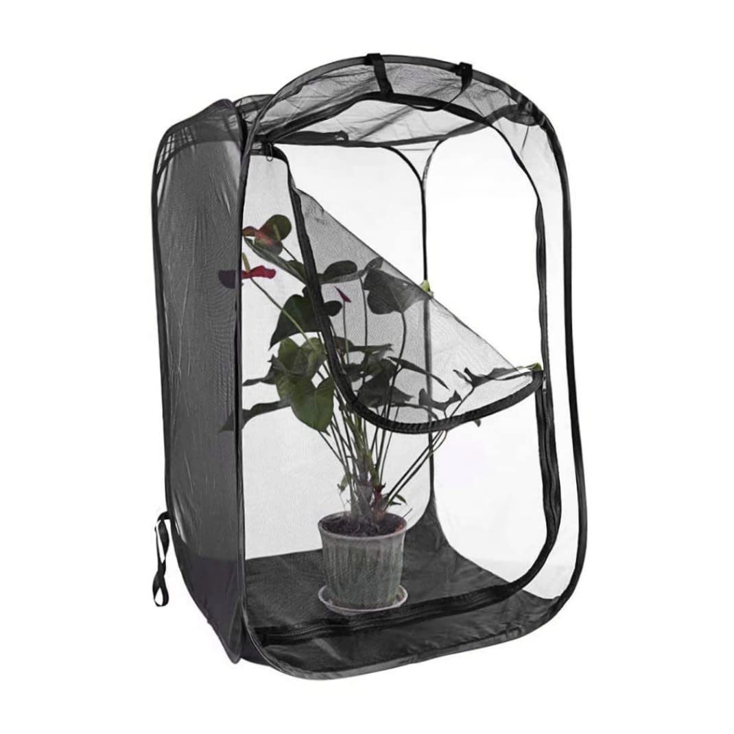 Illar Cage à papillons, boîtier à insectes à broder, transparent, fermeture éclair, chenille portable, Ha 3,5 x 30,5 cm