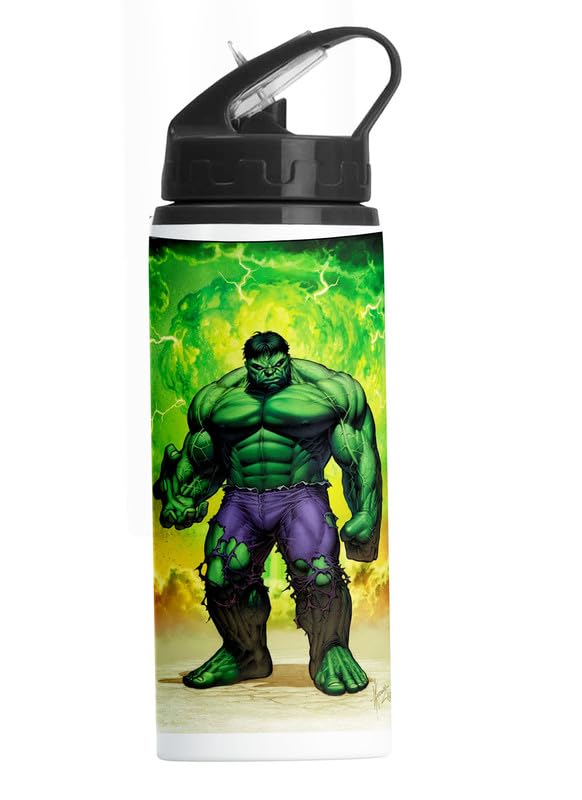 Compatible Print with Hulk Sipper Water Bottle Anime Printed Straw Bottle for Boys Girls & School (BLKN-301)