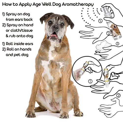 Image of The Blissful Dog Boxer Age Well Dog Aromatherapy Roll-On Bottle for Your Dog's Peaceful Ageing