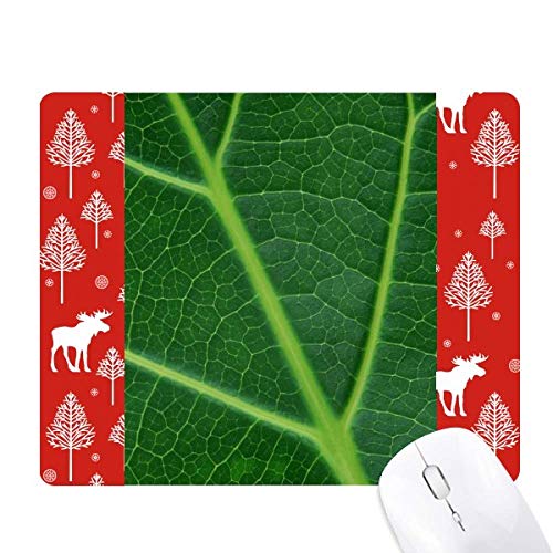 Forêt verte tapis de souris illustration premium schéma nature élégance vert foncé