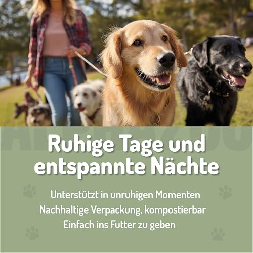 alphazoo Seelenruhe Tabletten für Hunde 180g - Ergänzungsfuttermittel mit Baldrian Melisse Hopfen - mit Hanföl & Taigawurzel - ohne künstliche Zusätze - für Gewitter Silvester Autofahrt