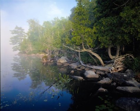 Adirondack: Wilderness