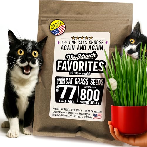 Cat Grass Seed Favorites Non-GMO Native Blend Chosen By Most