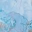 Blue Marble