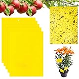indoor insektenfalle test Weit verbreitet:Weit verbreitet in Landwirtschaft, Obst und Gemüse, Gewächshausanbau, Blumen und Pflanzen im Innen- und.Es sind ideal für Schutz von Blumen und Gemüse, Zimmerpflanzen und Gewächshaus.