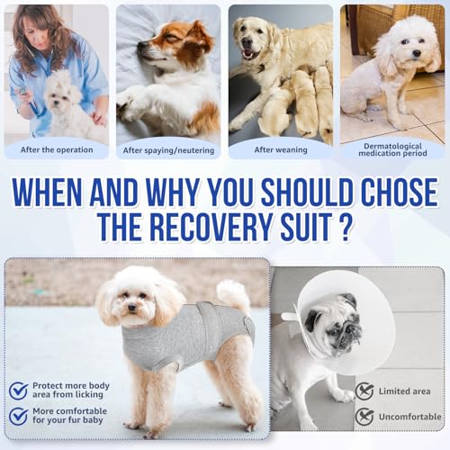 Image of SlowTon Dog Surgery Recovery Suit - Zipper On Dog Onesies After Surgery for Female Male Dogs, Abdominal Wounds Bandages Cone /E-Collar Alternative Dogs Surgical Body Suit (G, XS)