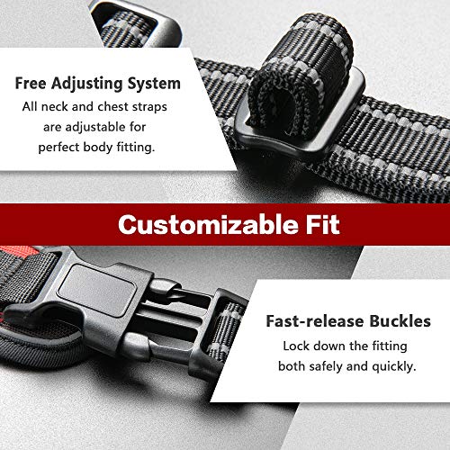 rabbitgoo Dog Harness for Large Dogs No Pull, Adjustable Dog Walking Vest Harness with 2 Leash Clips, Comfort Padded Pet… - Image 6