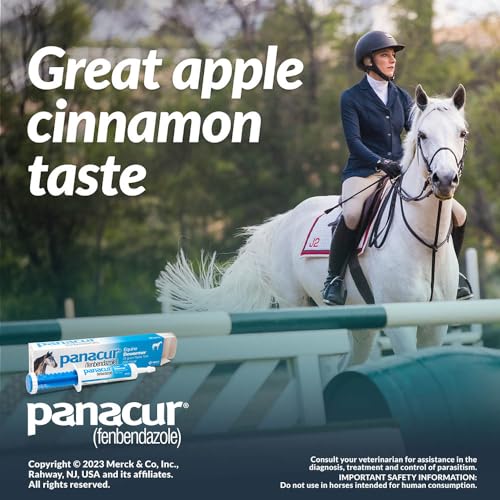 Panacur (3 Pack) Dewormer Horse Paste 10%, 100mg Each