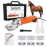 KNEIZER