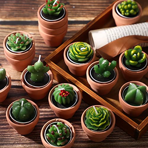 18 Pcs Succulent Cactus Tealight Candles Handmade Tea Lights Baby Shower Plant Candle Gift With Mini Terracotta Clay Candle Holders For Birthday Christmas Wedding Party Home Decoration (Classic) #TOP5