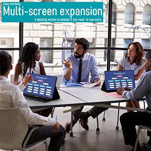 Bimawen 17.3 Inch Portable Monitor Ips 100% Srgb 1080P Hdr Fhd Freesync,Dual Hdmi Usb Type-C Monitor,Ps4/Switch/Pc/Mac/Compatible,1920 X 1080P,Built-In Speaker #TOP4