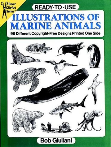 Illustrations animaux marins 96 motifs imprimés une face dessin mer