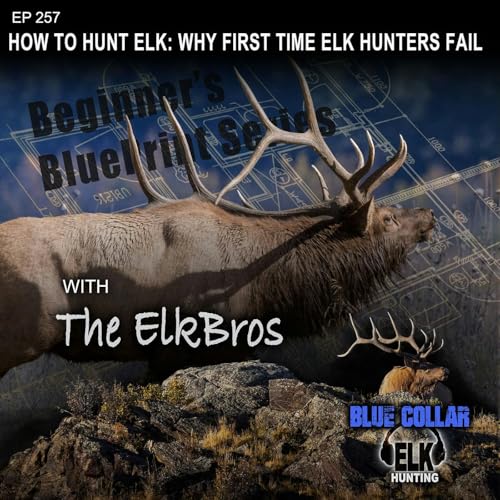 How To Hunt Elk: Why First Time Elk Hunters Fail