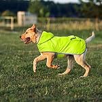 Waterproof Dog Raincoat, Reversible Rain Jacket with Hood, Small (Yellow Green/ Blue), for Small Breeds, Lightweight & Comfortable