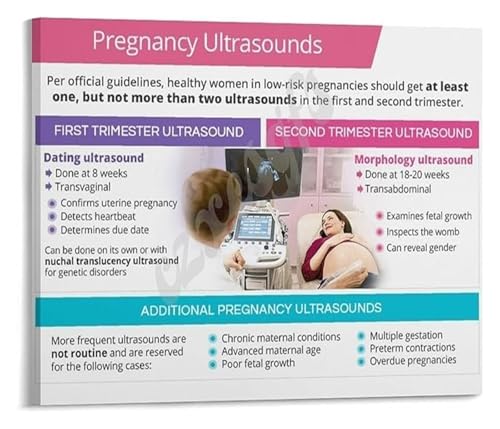 Ultrasound in Prenatal Care Poster Types of Scans and Their Purposes for Medical Office and Midwife Clinic(Unframed,16x24inch(40