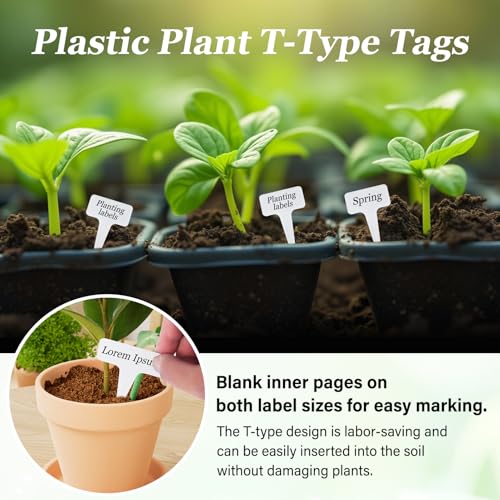 Seed Storage Box Organizer - Metal Garden Seed Storage Container Kit - Image 4