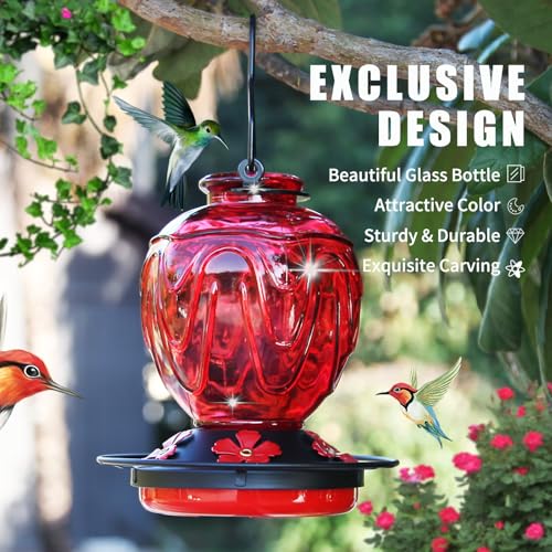 Image of 2 Pack Glass Hummingbird Feeder for Outdoors Hanging, 24Ozs Humming Bird Nectar Feeder w /Perch, 5 Flower Feeding Ports, Leak Proof Base and Hook for Outside Garden Backyard Decor, Red
