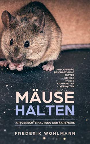 Mäuse halten: Artgerechte Haltung der Farbmaus - Anschaffung |...