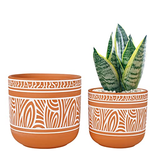 Thirtypot 4.6 + 6 Inch Terracotta Succulent Planter Pots Terra Cotta Planter Clay Pots with Drainage Set of 2