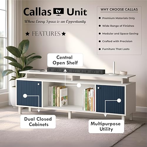 Callas Engineered Wood TV Entertainment Unit for Living Room | Modern TV Cabinet with Shelves & Storage (Blue, TV-22) 6 51RTCKI4rcL