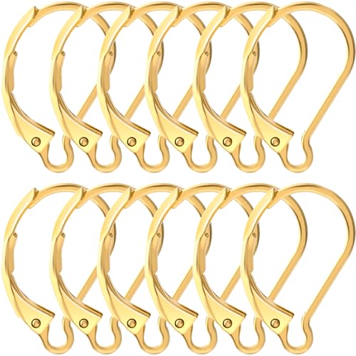 Alpinleux 12 Pcs Leverback Earring Hooks, Stainless Steel Clasp Hoop, Hypoallergenic Dangles Earring Hooks, French Ear Wire Findings for Women, DIY Crafts, Jewelry Making (Gold)