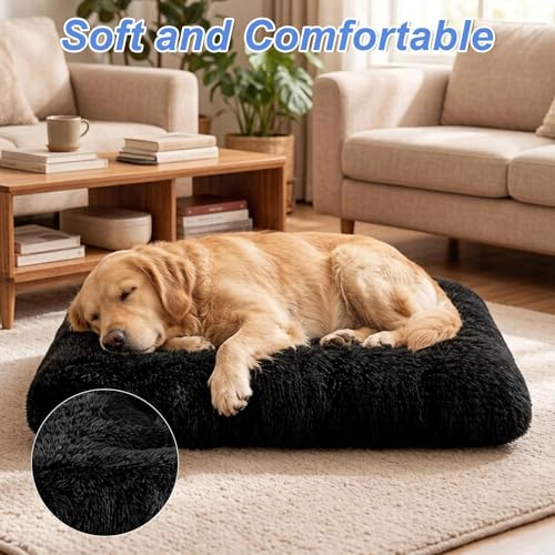 Ravytha Hundebett Mittelgroße Hunde Waschbar, Hundekissen, Hundekorb, Hundekörbchen, Hundematte, Hundebetten für Mittelgroße Hunde, Körbchen Hund, Hundematratze, Hundebett Flauschig, Schwarz-3