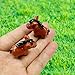 Haohaiblooms 3Pcs Miniature Horse Figurines - Resin Pony Foal Decor, Fairy Garden Accessories, Moss Landscape Crafts, Terrarium DIY Ornaments, Home Decor, Gift for Animal Lovers