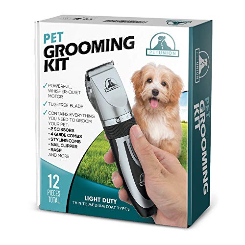 Top 9 Best Cordless Dog Clippers in 2021 A Comprehensive Review For You